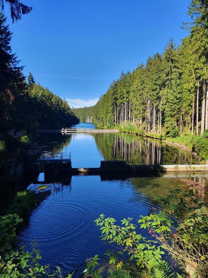 Landhaus Falkenstein Hotel Tambach-Dietharz Kültér fotó